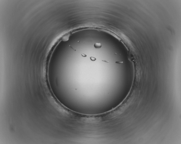 X0000115790896200911131306