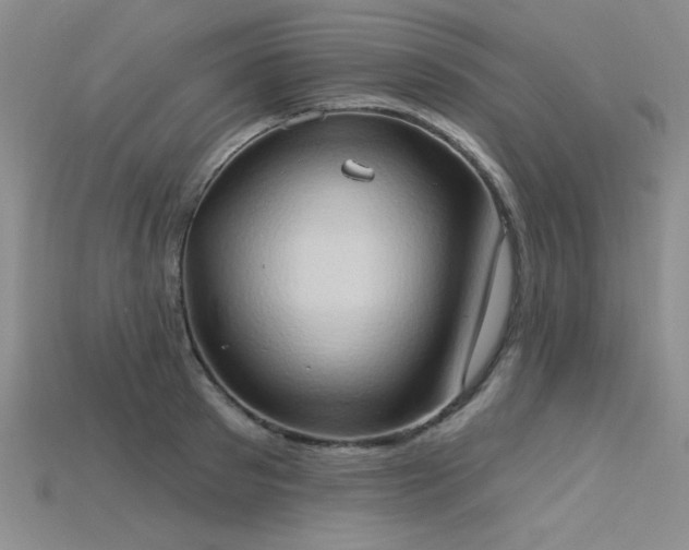 X0000115790897200911131306