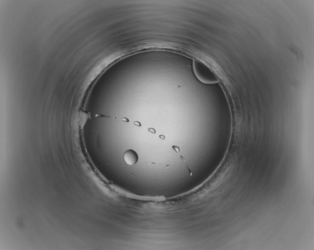 X0000115790898200911131306