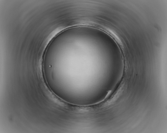 X0000115790899200911131306