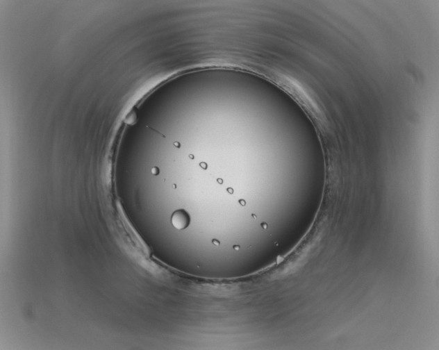 X0000115790900200911131305