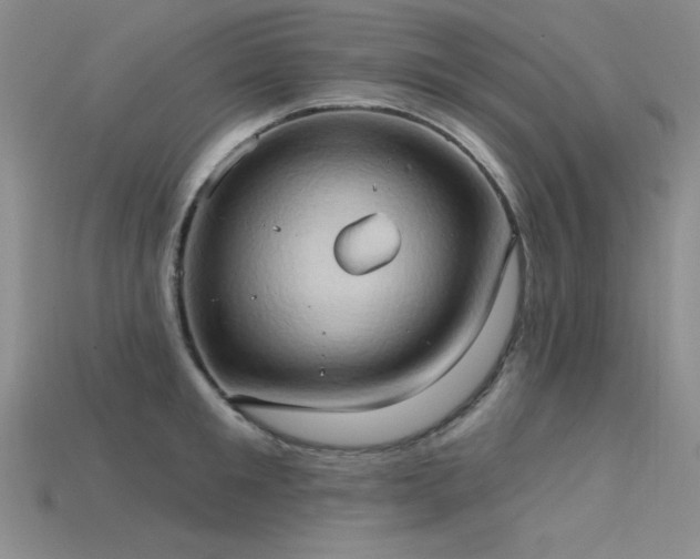 X0000115790901200911131305