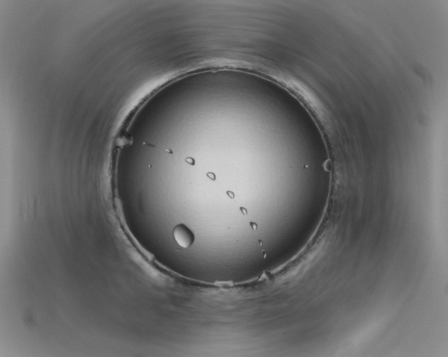 X0000115790902200911131305