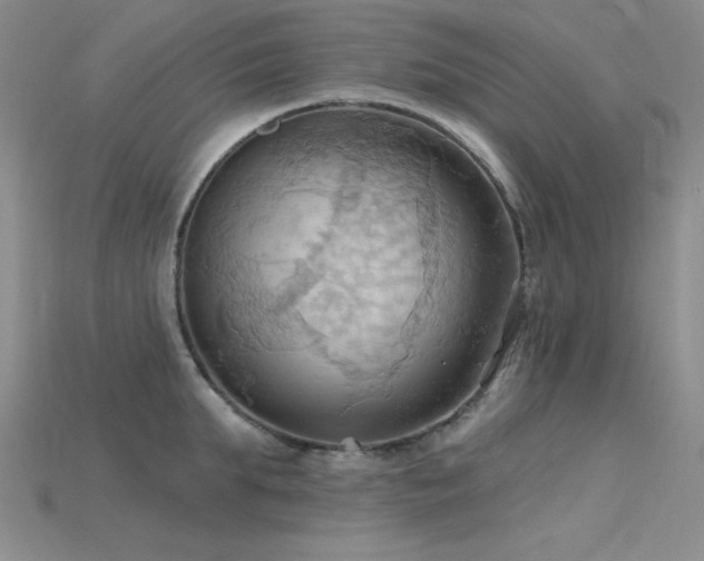 X0000115790903200911131305