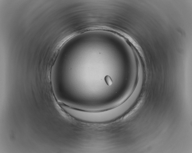 X0000115790905200911131305