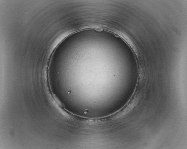 X0000115790906200911131305