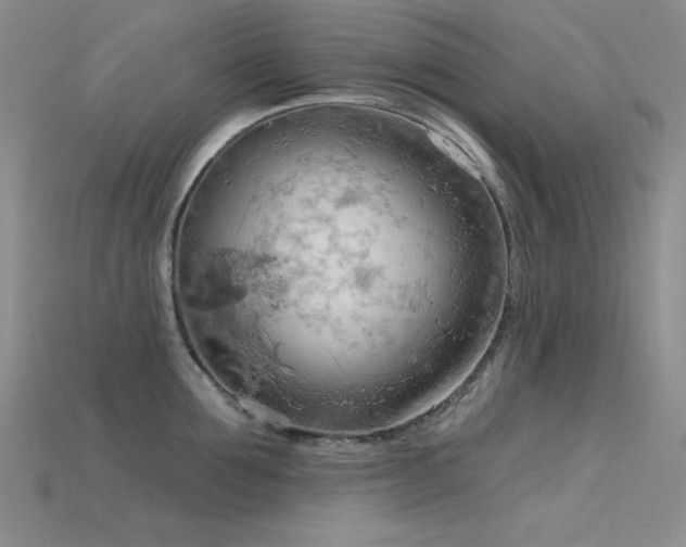 X0000115790907200911131305