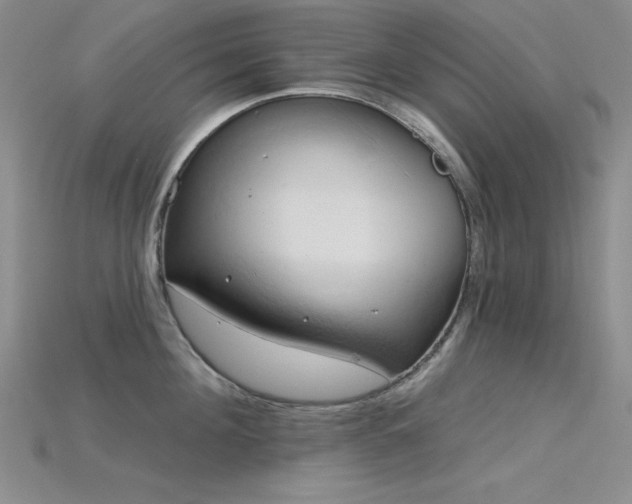 X0000115790908200911131305