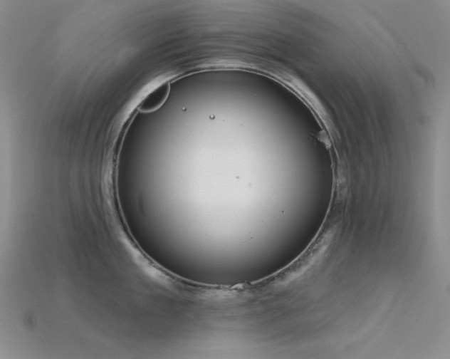 X0000115790909200911131305