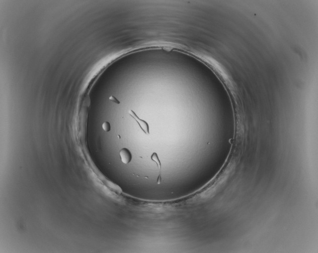 X0000115790910200911131305