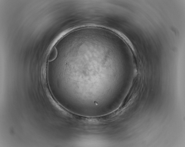 X0000115790911200911131305