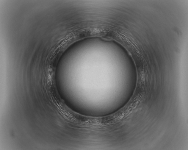 X0000115790914200911131305