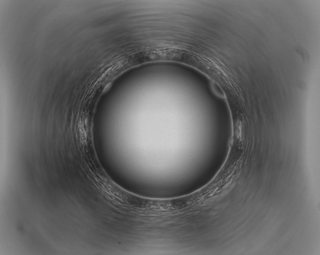 X0000115790915200911131305