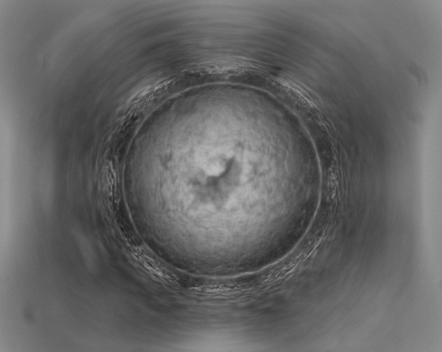 X0000115790917200911131305