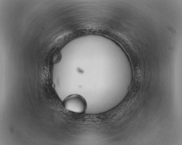 X0000115790918200911131305