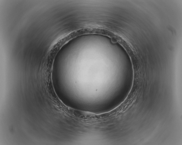 X0000115790919200911131305