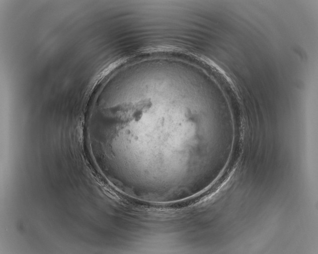 X0000115790921200911131305