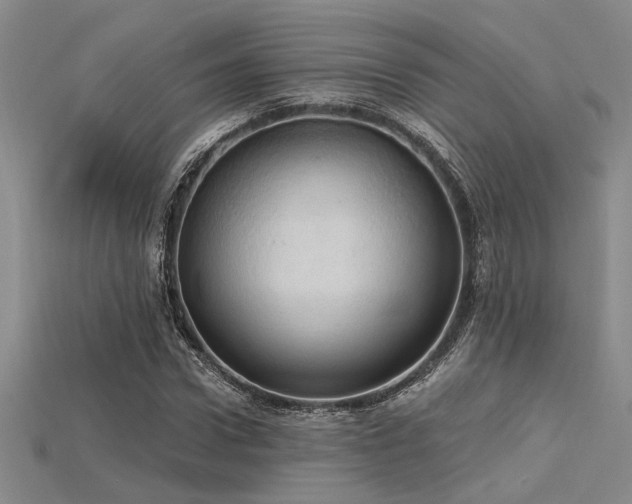 X0000115790922200911131305