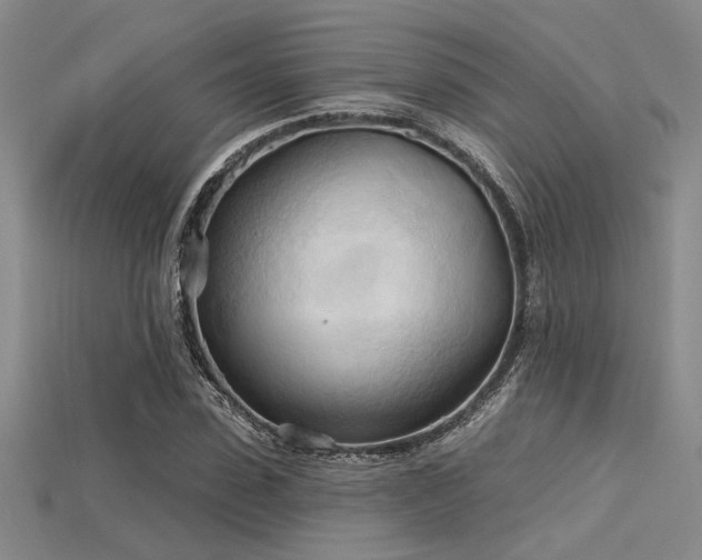 X0000115790923200911131305