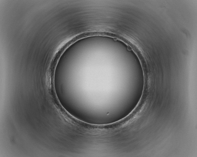 X0000115790925200911131305