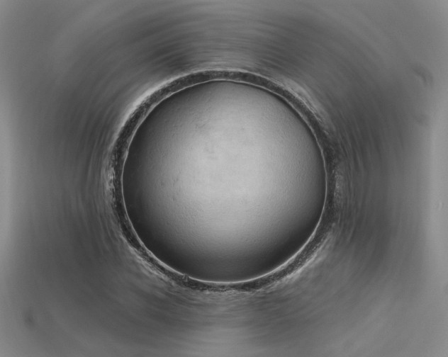 X0000115790926200911131305