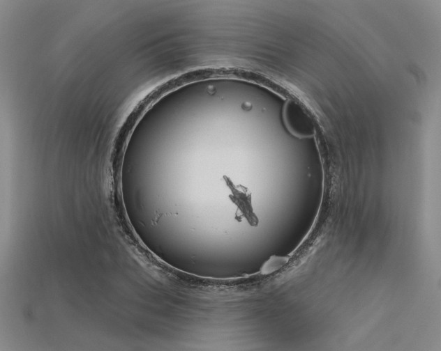 X0000115790927200911131305