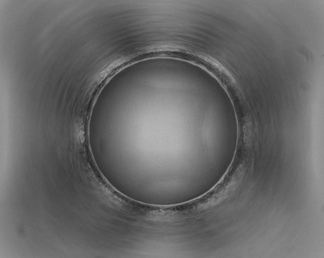 X0000115790929200911131305