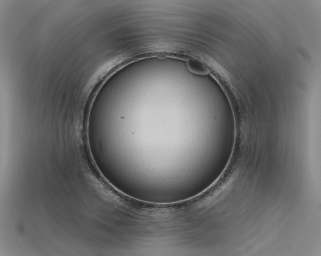 X0000115790930200911131305