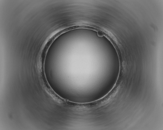 X0000115790931200911131305