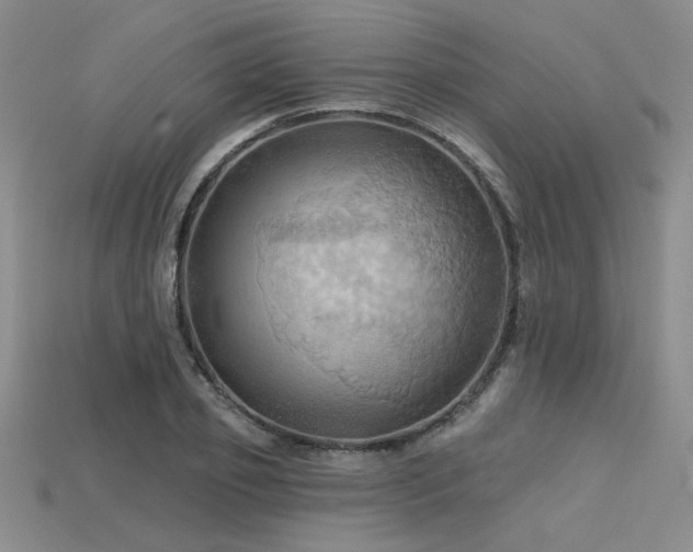 X0000115790933200911131305