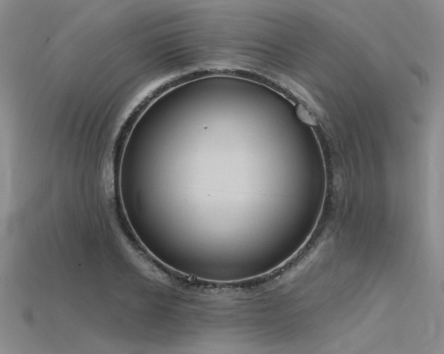 X0000115790934200911131305