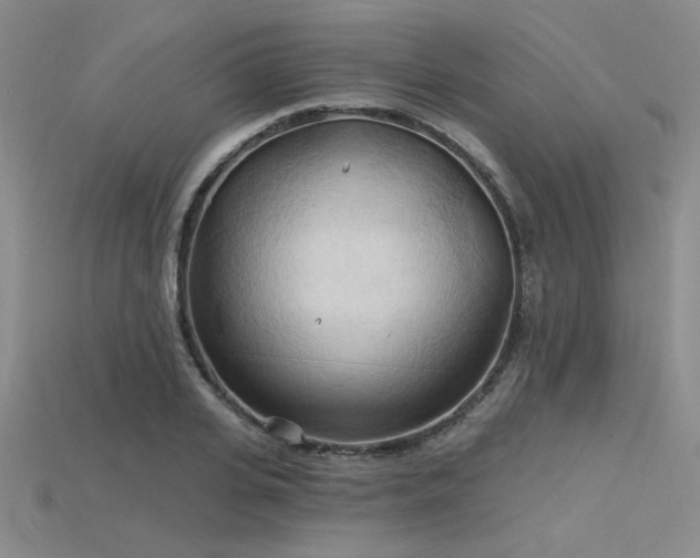 X0000115790935200911131305