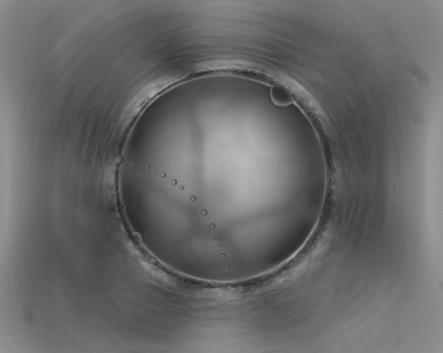 X0000115790937200911131305