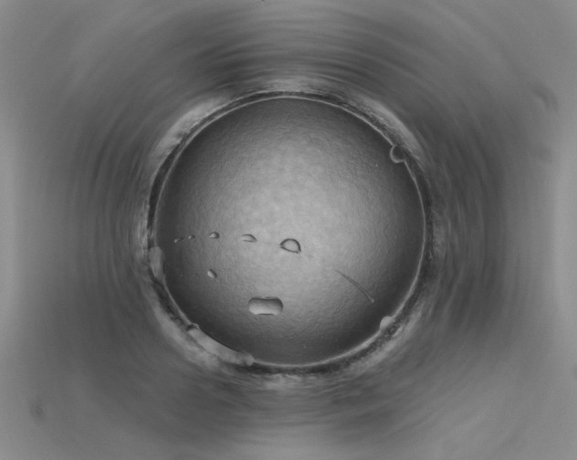 X0000115790938200911131305