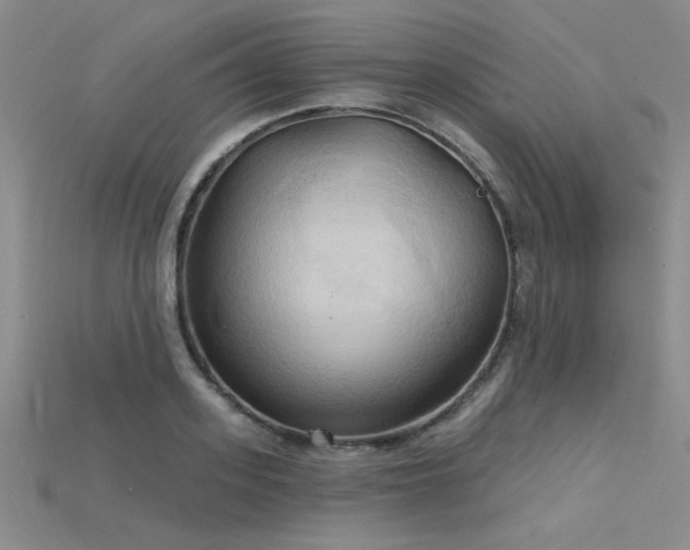 X0000115790939200911131305