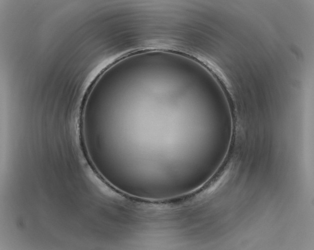 X0000115790941200911131305