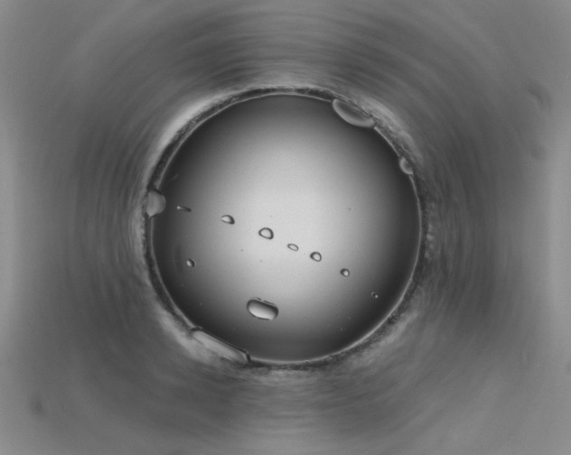 X0000115790942200911131305