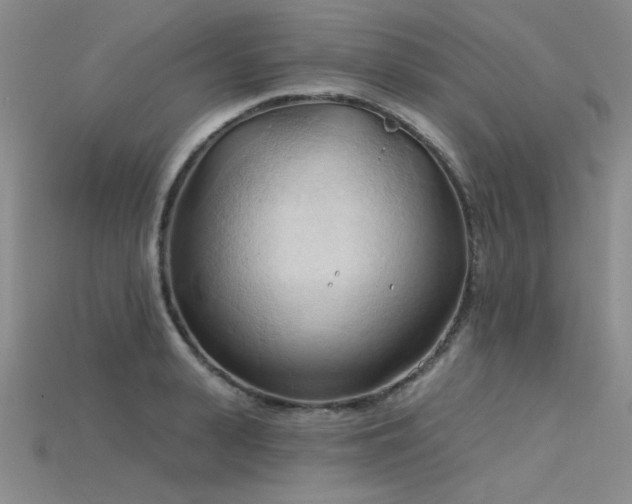 X0000115790943200911131305