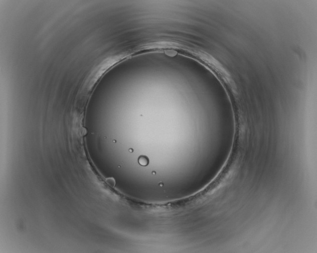 X0000115790945200911131305