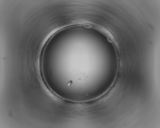 X0000115790947200911131305