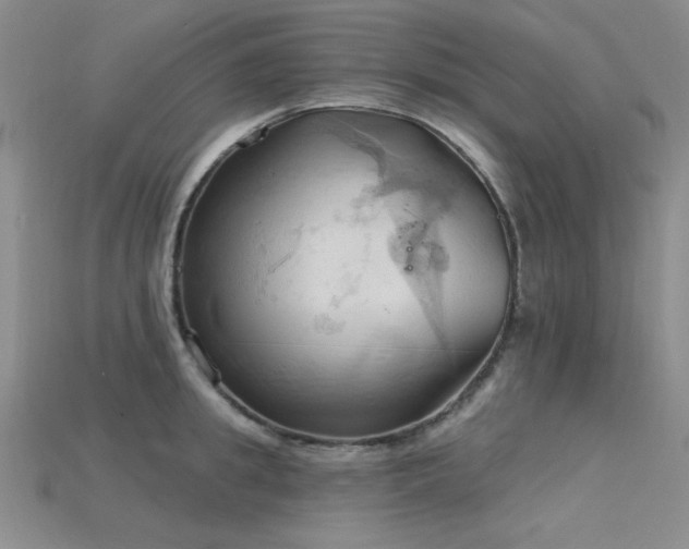 X0000115790949200911131305