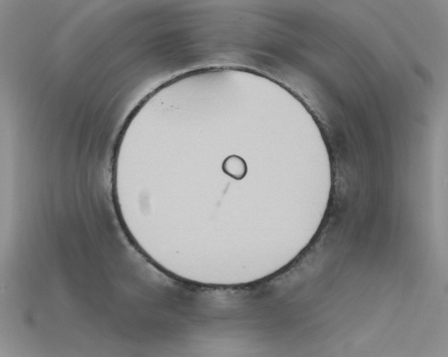 X0000115790950200911131305