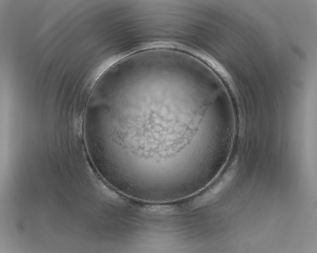 X0000115790953200911131305