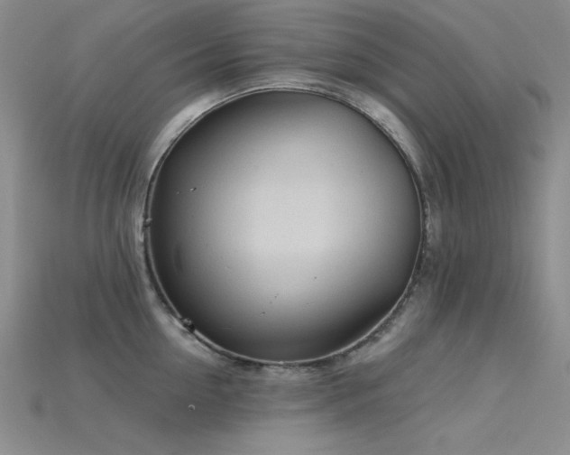 X0000115790954200911131305