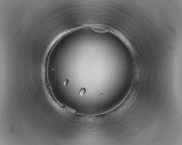 X0000115790955200911131305