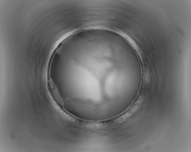 X0000115790957200911131305