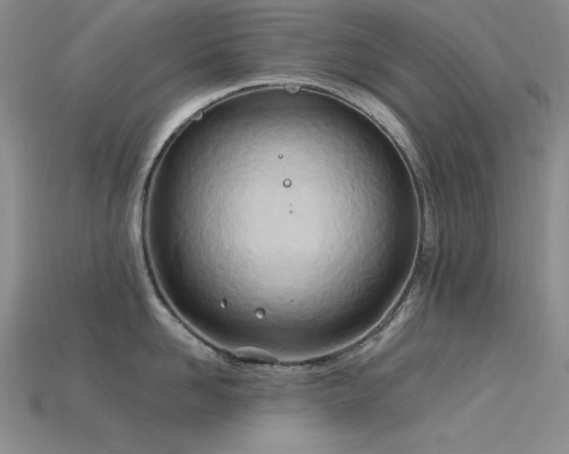 X0000115790958200911131305