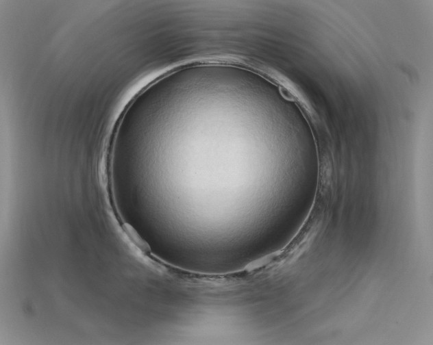 X0000115790959200911131305