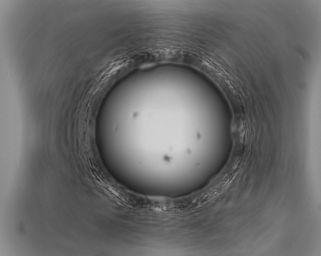 X0000115790961200911131305