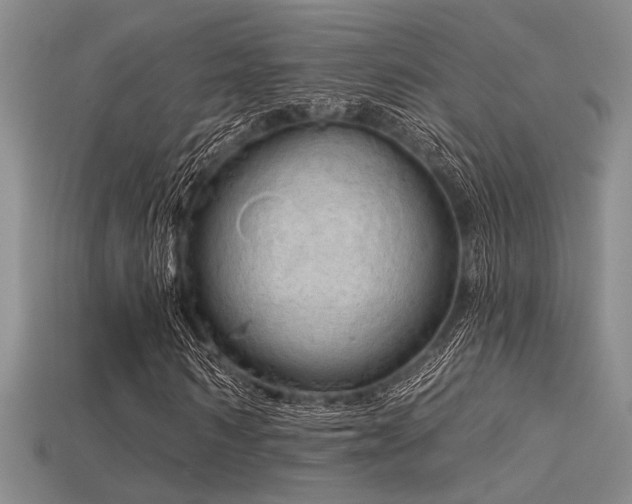 X0000115790962200911131305